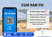 esim-toan-cau-nam-phi-goi-co-dinh