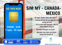 sim-my-chi-co-data-goi-co-dinh