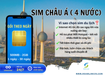 sim-chau-a-4-nuoc-goi-theo-ngay