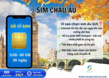 sim-chau-au-goi-co-dinh