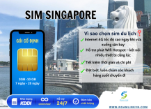 sim-singaore-goi-co-dinh