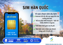 sim-han-quoc-goi-co-dinh