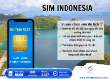 sim-indonesia-goi-theo-ngay